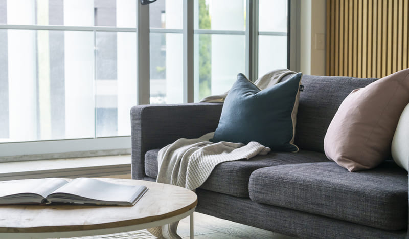 Bronx Upholstery Cleaning