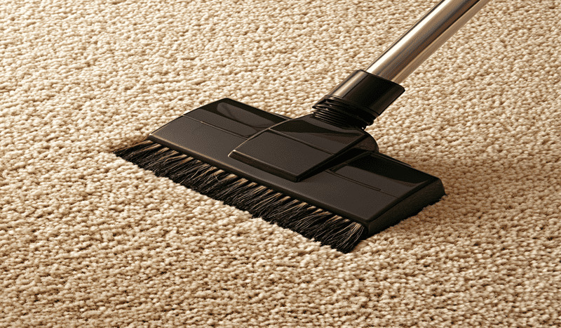 New Jersey Carpet Cleaning
